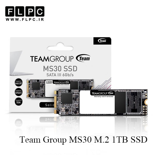 اس اس دی تیم گروپ / Team Group MS30 M.2 2280 1TB SSD